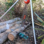 伐根と倒木処理